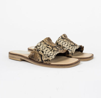 Heyas - Chata Cancun Reptil