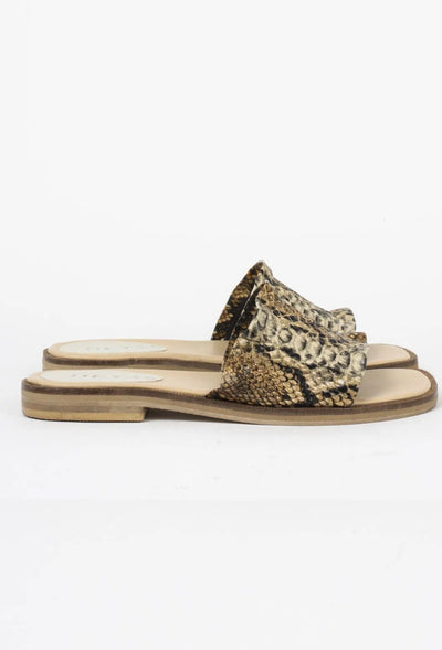 Heyas - Chata Cancun Reptil